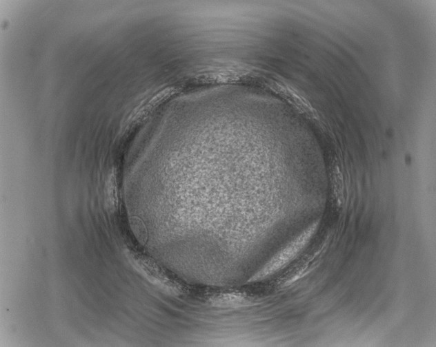 X0000078860594200611271414