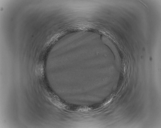 X0000078860595200611271414