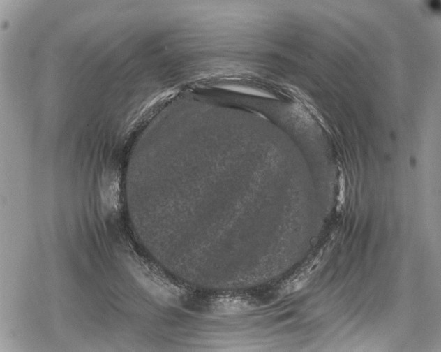 X0000078860596200611271414