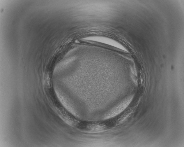 X0000078860597200611271414