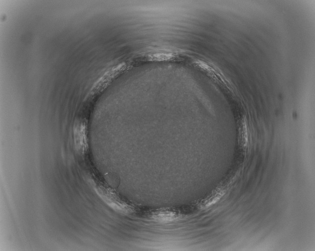 X0000078860598200611271414