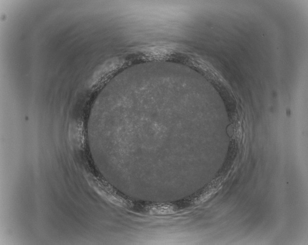 X0000078860599200611271414