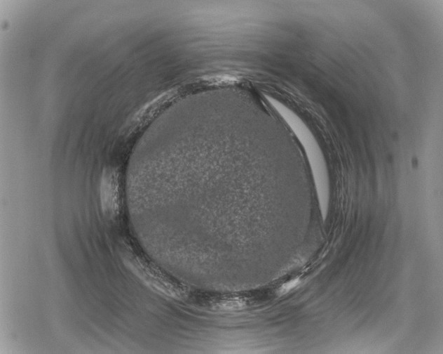 X0000078860600200611271414