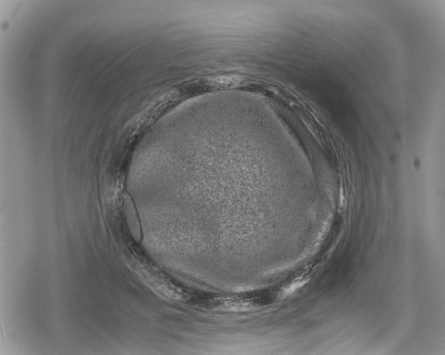 X0000078860601200611271414