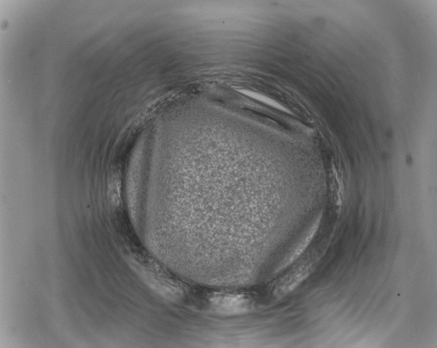 X0000078860602200611271414