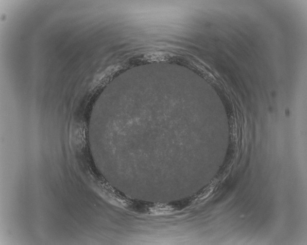 X0000078860603200611271413