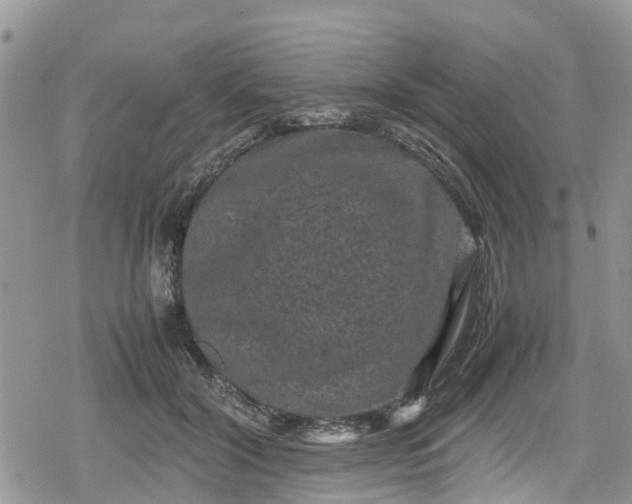 X0000078860604200611271413