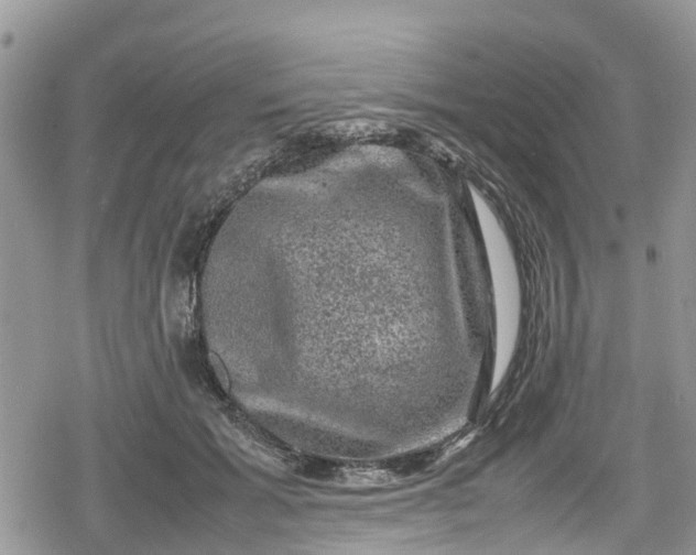 X0000078860605200611271413