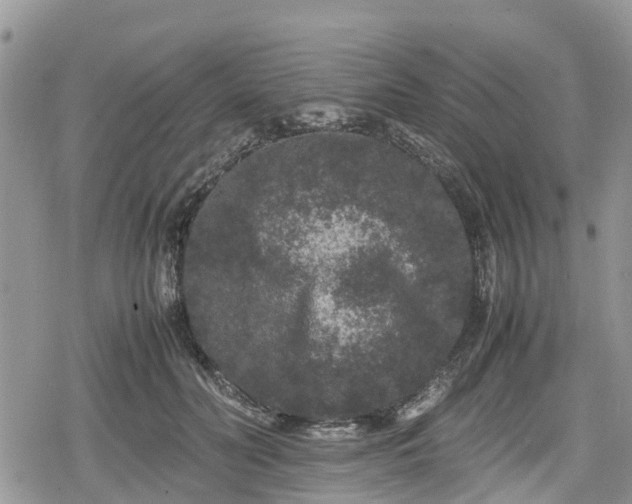 X0000078860606200611271413