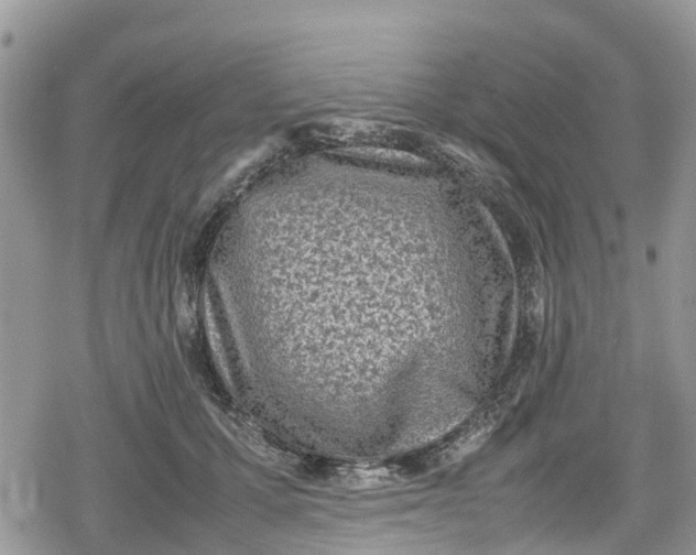 X0000078860607200611271413