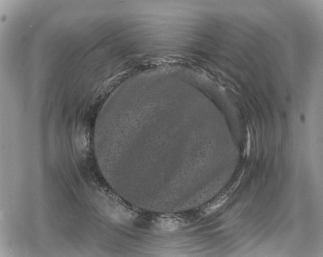 X0000078860608200611271413