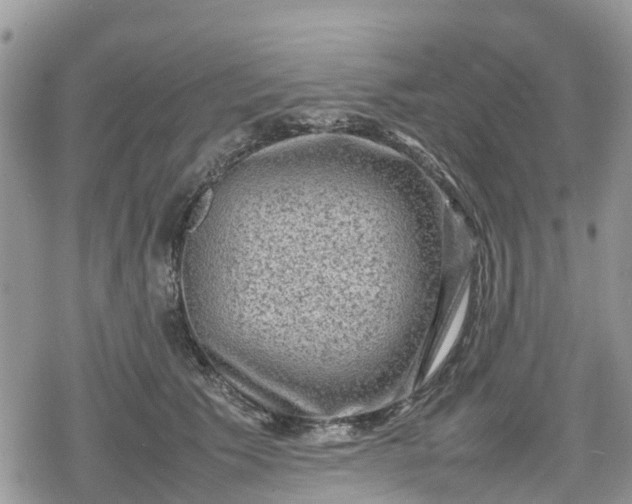 X0000078860609200611271413