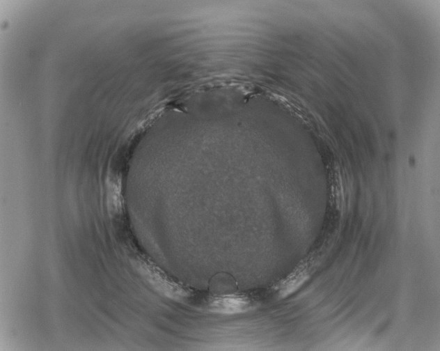 X0000078860610200611271413