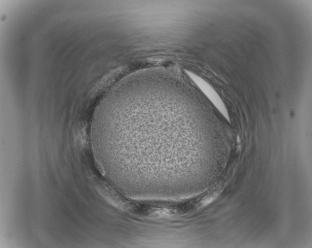 X0000078860611200611271413