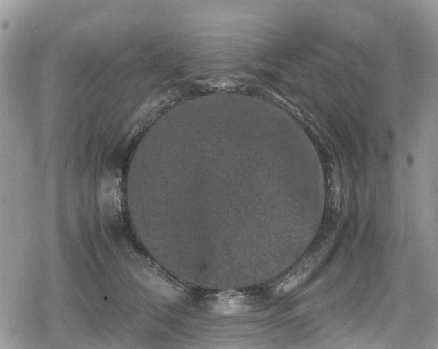 X0000078860612200611271413