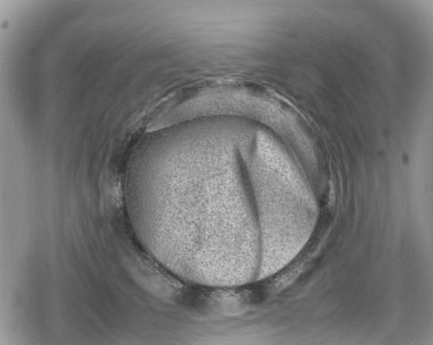 X0000078860613200611271413