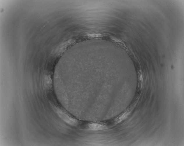 X0000078860614200611271413