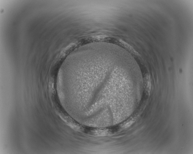 X0000078860615200611271413