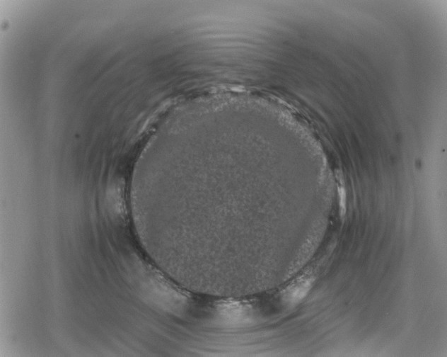 X0000078860616200611271413