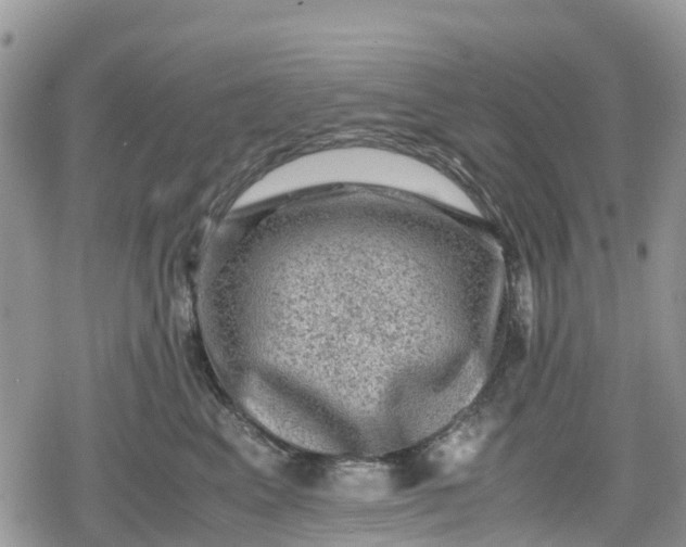 X0000078860617200611271413