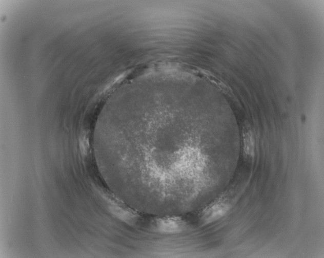 X0000078860618200611271413