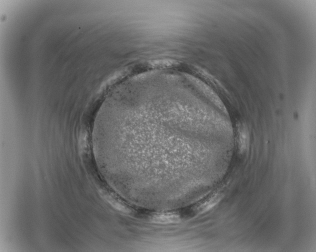 X0000078860619200611271413