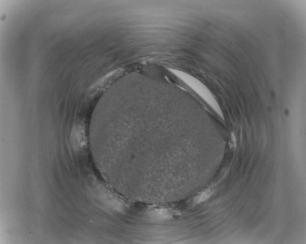 X0000078860620200611271413