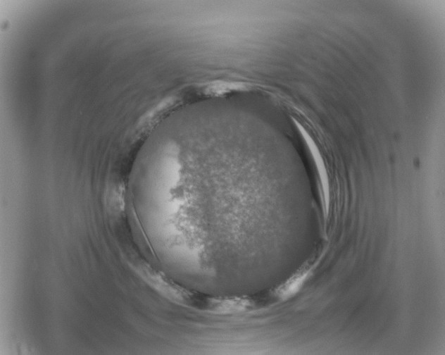 X0000078860621200611271413