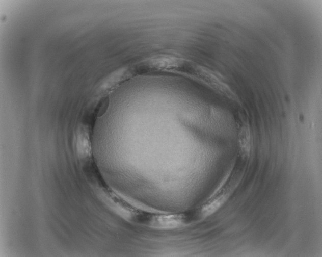 X0000078860622200611271413