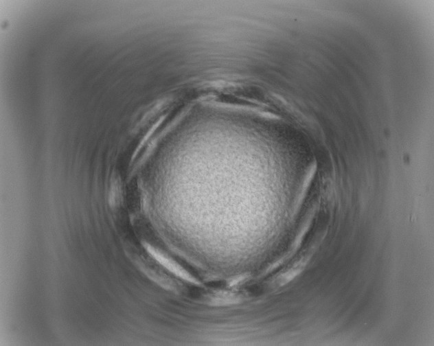 X0000078860623200611271413