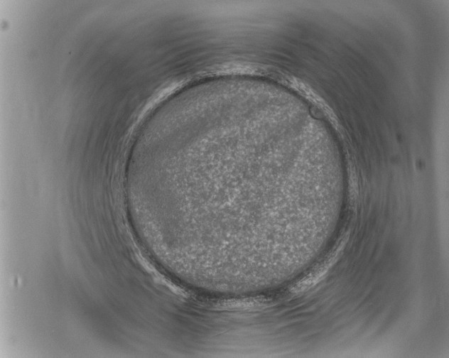 X0000078860625200611271412