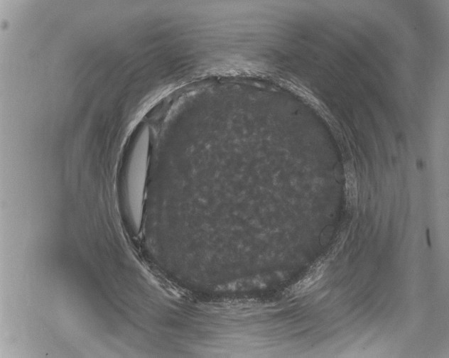 X0000078860626200611271412