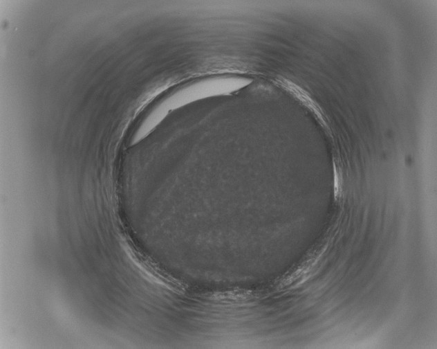 X0000078860627200611271412