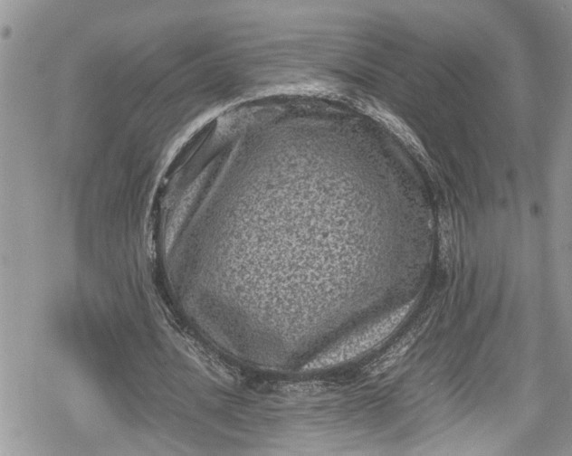 X0000078860628200611271412