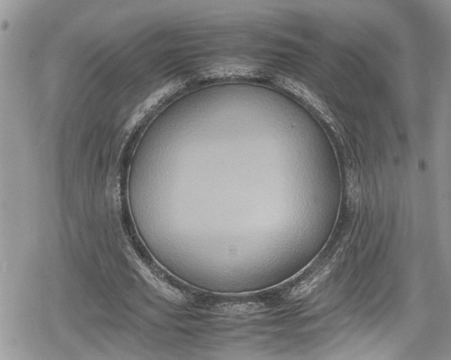 X0000078860629200611271412