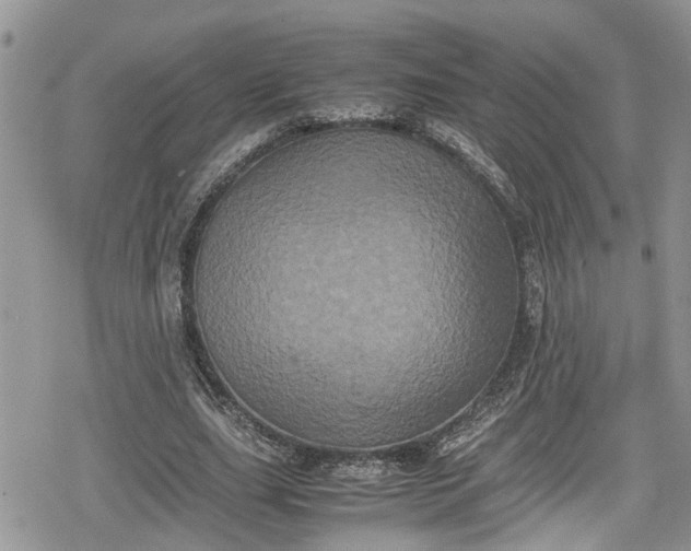 X0000078860631200611271412