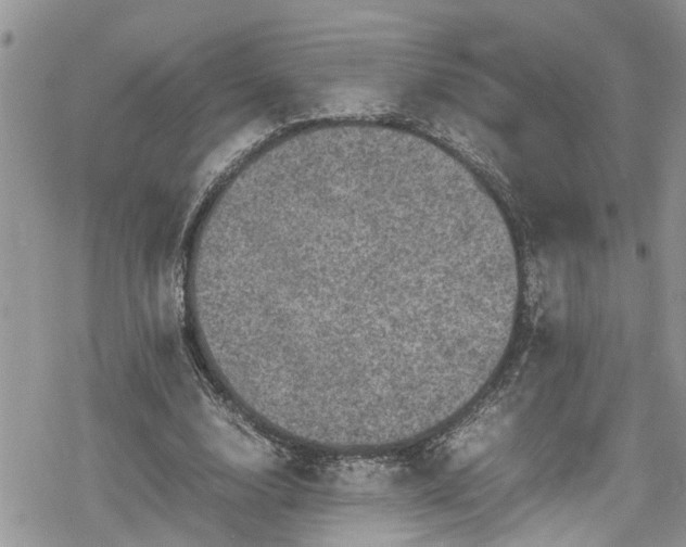 X0000078860632200611271412