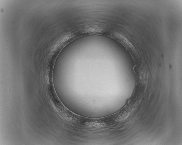 X0000078860635200611271413