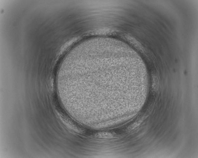 X0000078860636200611271413