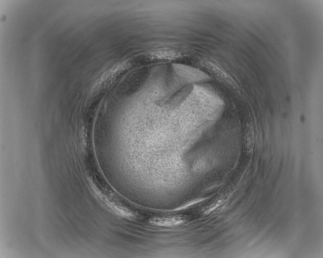 X0000078860639200611271413