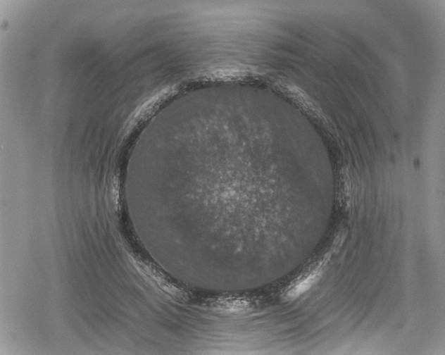 X0000078860640200611271413