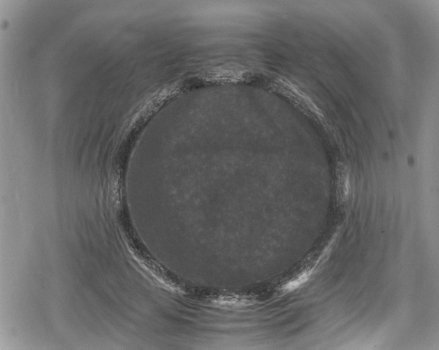 X0000078860641200611271413