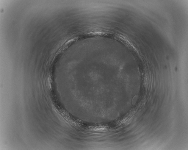 X0000078860643200611271413