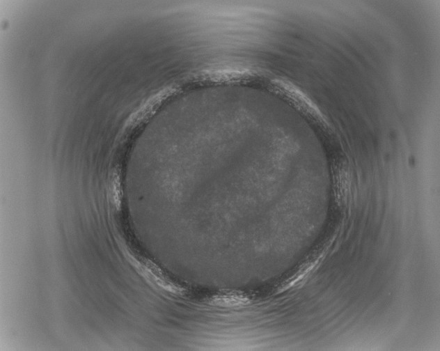 X0000078860644200611271413