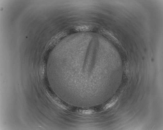 X0000078860645200611271413