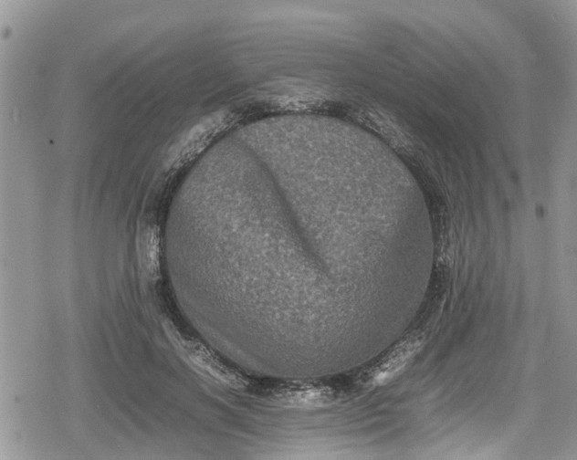 X0000078860646200611271413