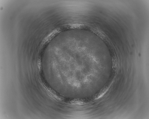 X0000078860648200611271413