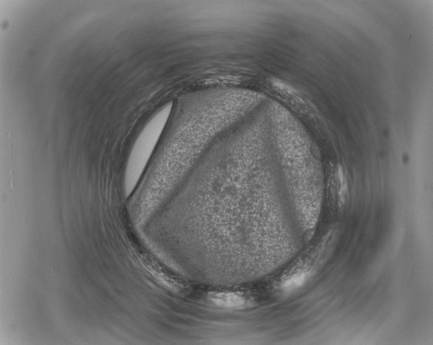 X0000078860649200611271413