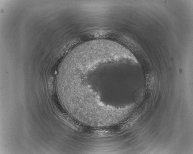 X0000078860650200611271413