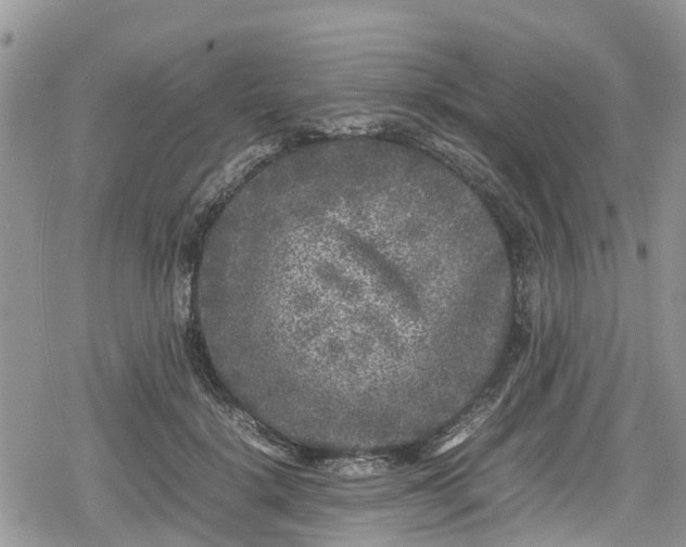 X0000078860652200611271413